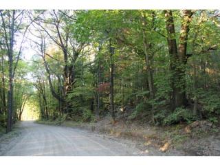 1321 Bear Hill Rd, Henniker, NH 03242-5385