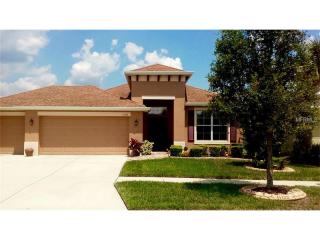 11122 Foster Carriage Rd, Lithia, FL 33547-4904