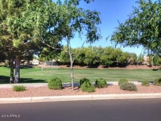 14336 Evans Dr, Sun City, AZ 85379-5777