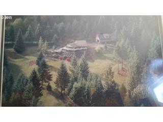 3704 425th St, Woodland, WA 98674-2525