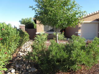 25630 St Kateri Dr, Buckeye, AZ 85326-2128