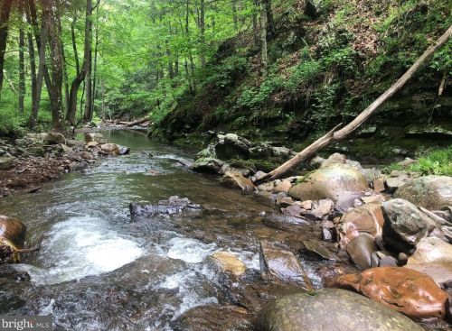 2254 Ashton Woods Dr, Rig, WV 26836