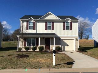 1491 Old Sage Ct, Winston Salem NC  27127-5994 exterior