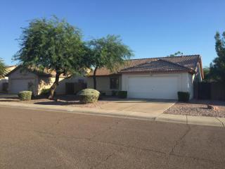 3807 Charlotte Dr, Glendale, AZ 85310-3338