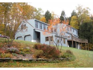 173 Asa Grout Ln, Weathersfield, VT 05151-9533