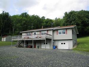 830 Dogtown Rd, Genesee, PA 16923-8758