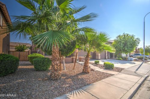 2697 Teakwood Pl, Chandler, AZ 85249-5512