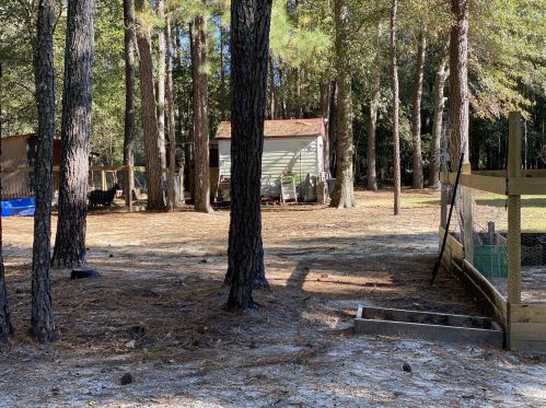 304 Mookees Ln, Cross SC  29436-9102 exterior