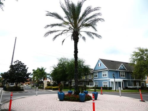 4004 San Gallo Dr, Kissimmee FL  34741-1520 exterior