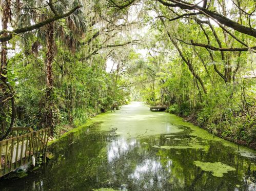 1329 Cr 436, Lake Panasoffkee FL  33538-5128 exterior