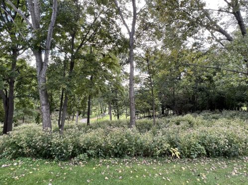 983 Lakeland Dr, Lake Geneva WI  53147-5016 exterior