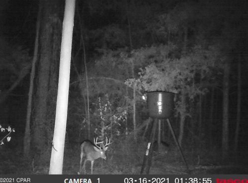 3438 Hwy 73, Marianna FL 32446-2478 exterior