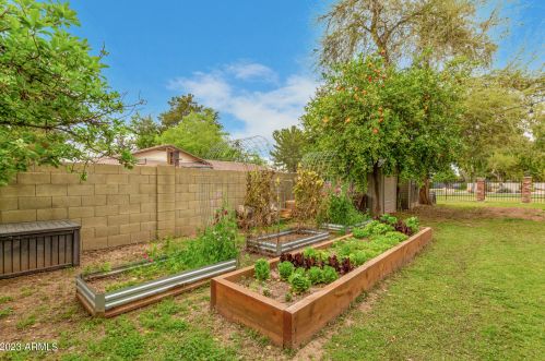 733 Campbell Ave, Gilbert AZ 85234-3215 exterior