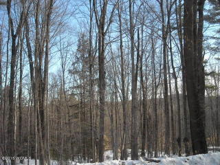 101 Park Rd, Johnsburg, NY 12843-2103