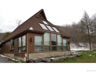 8076 Dublin Rd, Salamanca, NY 14779-9723