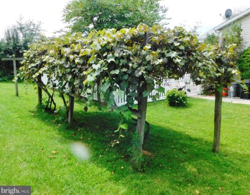 243 Lincoln Dr, Hanover PA 17331-4946 exterior