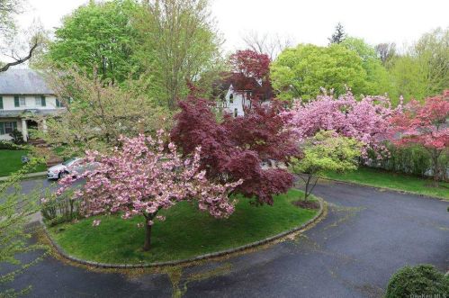 51 Beverly Rd, Great Neck, NY 11021-1444