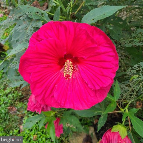 1139 Wilson Ave, Glen Mills PA  19342-9610 exterior