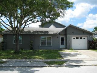 3349 Woodcock Dr, Tarpon Springs, FL 34690-2349