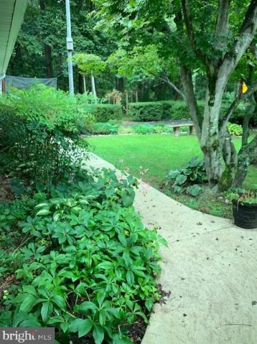 3651 Killens Pond Rd, Harrington DE  19952-3020 exterior