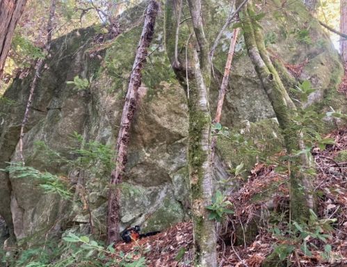 43400 Iversen Rd, The Sea Ranch CA  95445-7582 exterior