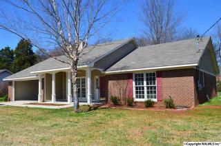 125 Raspberry Way, Madison AL  35757-8329 exterior