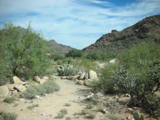 14323 Rocking Ridge Ct, Marana, AZ 85658-4212