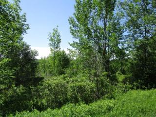 418 Saddlemire Hill Rd, Sloansville, NY 12160-2414