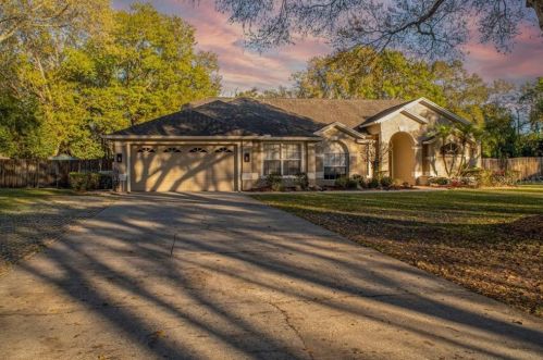 806 Brooker Village Cir, Lutz, FL 33548-5061