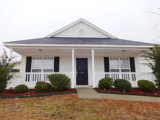 189 Youpon Dr, Lexington SC  29073-9733 exterior