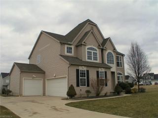 5571 Frith Ct, Medina, OH 44256-5528