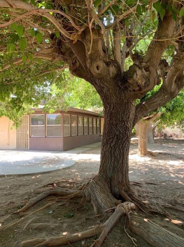14254 Oxford Pl, Victorville, CA 92395-4331