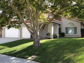 40250 Castana Ln, Palmdale, CA 93551-4870
