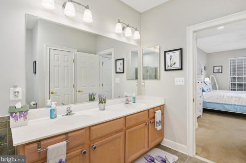 16621 Howard Millman Ln, Milton DE  19968-3533 exterior