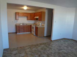 220 States Dr, Gunder IA  52162-8595 exterior