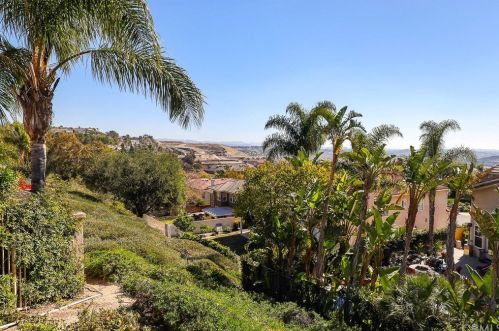 28262 Harvest View Ln, Trabuco Canyon, CA 92679-1195