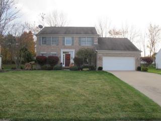 9789 Parkland Dr, Twinsburg, OH 44087-3316