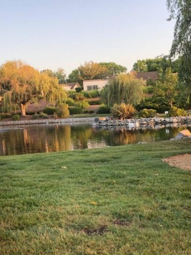 5149 Cribari Pl, San Jose CA 95135-1301 exterior