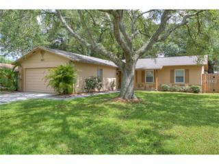 2235 Elizabeth Dr, Brandon, FL 33510-2706