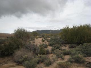 39813 103rd Way, Scottsdale, AZ 85262-2949
