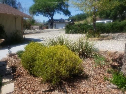 18670 Maple Leaf Ct, Middletown CA  95467-8528 exterior