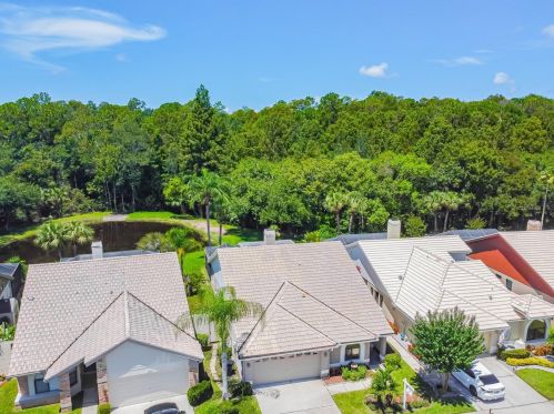 3664 Darston St, Palm Harbor FL  34685-1182 exterior