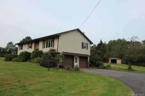 56 Treyz Rd, Lew Beach, NY 12758-5237