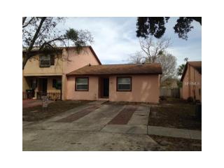 7925 Toler Ct, Orlando, FL 32822-8310