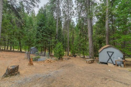 16199 Pioneer Creek Rd, Pioneer CA  95666-9415 exterior