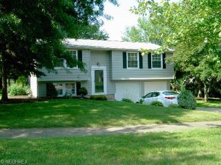 895 Ridgeview Dr, Medina, OH 44256-2919