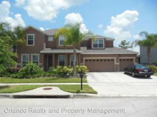 17314 Cypress Preserve Pkwy, Orlando FL  32820-2756 exterior