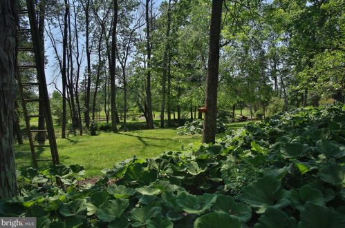 5295 Branch Rd, Pipersville PA  18947-1197 exterior