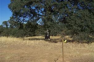 15932 Barney Rd, Plymouth, CA 95669-9792