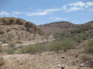 8960 Red Fox Rd, Peoria AZ  85383-4632 exterior